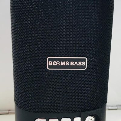 booms-bass
